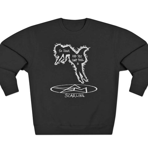 Black Horse Riding Star