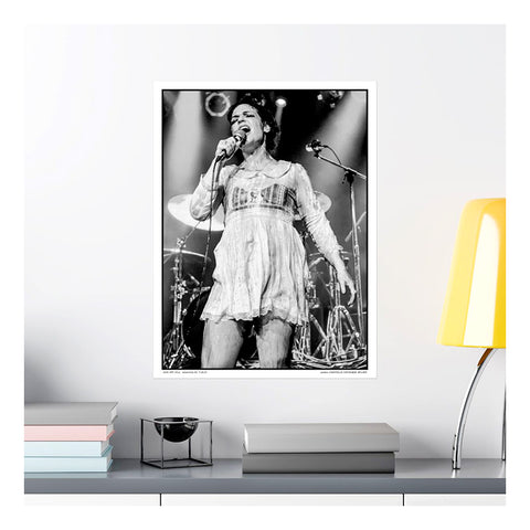 Live In Asheville v3 - Poster