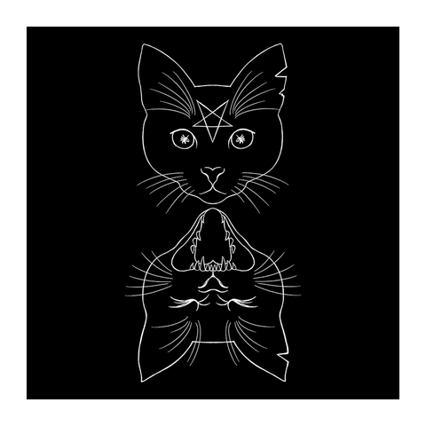 Magick Mirror Cats